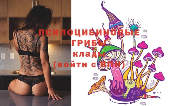 таблы Михайловск