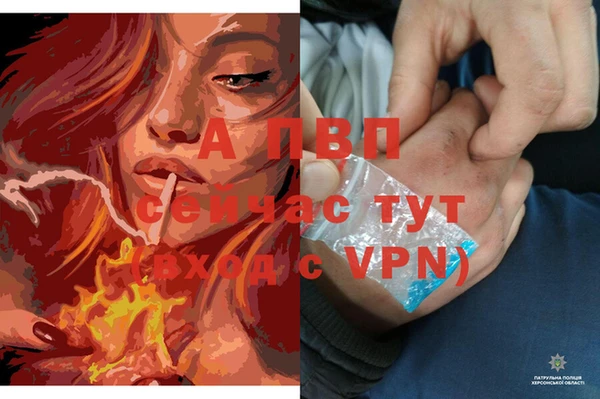 прущий лед Михайлов