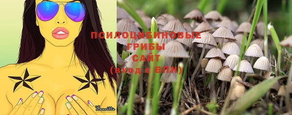 марки lsd Михайловка