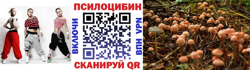 Псилоцибиновые грибы мухоморы Медынь